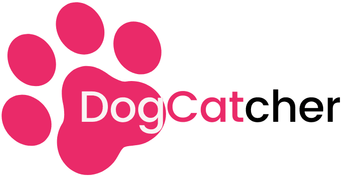 DogCatcher main_image